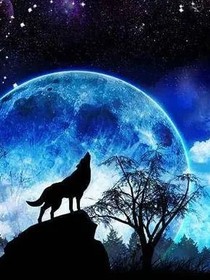 天狼星的预言1