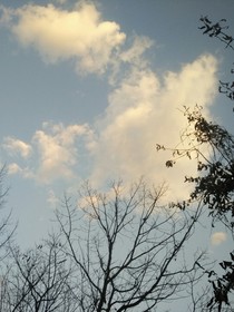 小鸟与蚯蚓