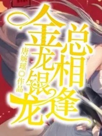 金龙银龙总相逢