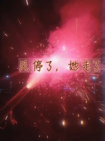 風(fēng)停了，她走了