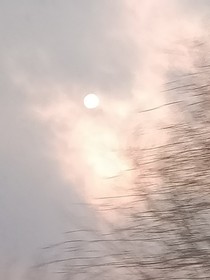 顾少爷的许夫人