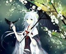 孤伞