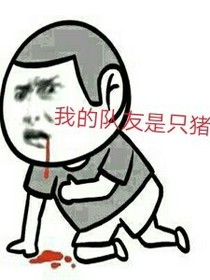 我的队友是只猪