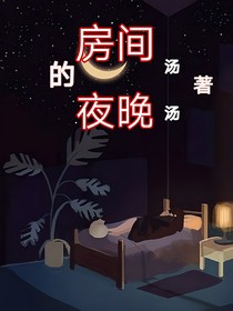 房间的夜晚……