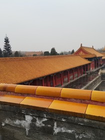 不死军团之故宫之旅