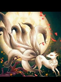 我是九尾天狐