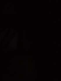 那段心吊胆的日子