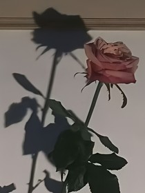 遇見是你我的注定