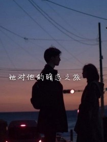 她对他的暗恋之旅