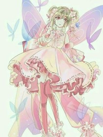 小花仙之圣灵花仙魔法使者