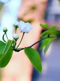 我的公寓能穿越之旅-d135