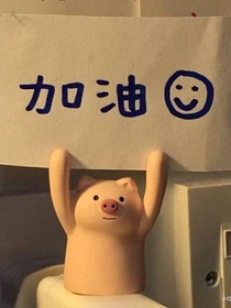 沐雪的青春校园季