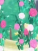 林蒽優(yōu)