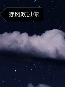 晚风吹过你