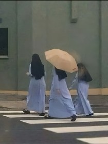 那一天落下的烟花燃尽了临行的温柔