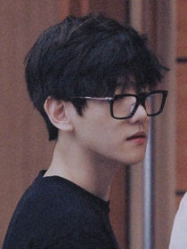 边伯贤：知名idol别爱我