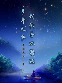 數(shù)年后，我們再次相遇