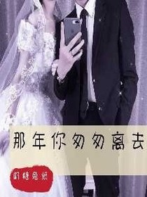 那年你匆匆离去
