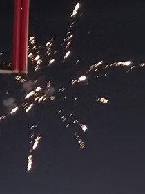龍紈