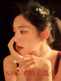 NPC不婚主义者