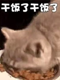 随风而是