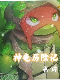 忍者神龟——历险记