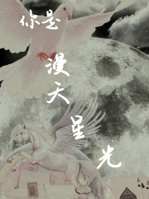 你是漫天星光