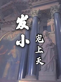 发小宠上天