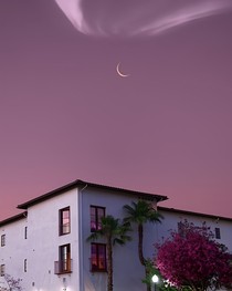请愿神明渡俗情