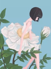 花与盛夏