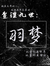 查理九世：羽梦