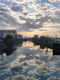 让我在星际打电竞？