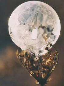 重生后師父他黑化了
