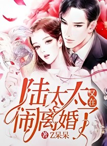 路太太又在闹离婚