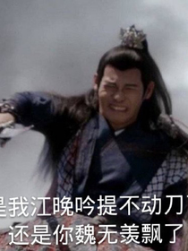 穿越陈情令之薛洋喜欢我