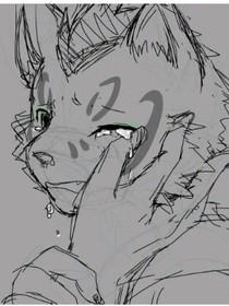 家有大猫