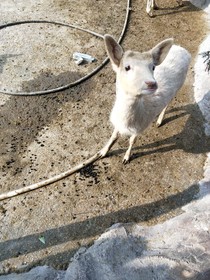 我又遇见你