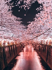 TF团宠不是盖的