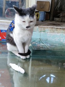 这一点也没趣
