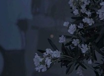 总裁的娇妻之怎么可能