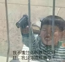 沙雕同人文之豬鎮(zhèn)仔阮