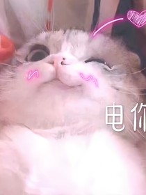陈同学有点甜