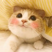 Prove惊心杂货铺