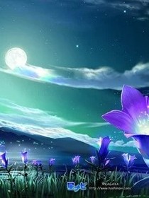 魔法荣耀王国