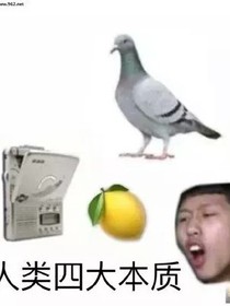 随笔n