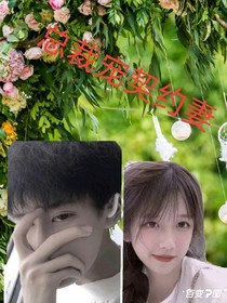 总裁宠契约妻
