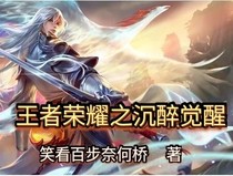 王者荣耀之沉醉觉醒