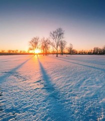 圣斗士系列之圣诞雪橇