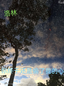 洛林……你终于还是偷了我的心