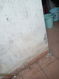梦魂白扇